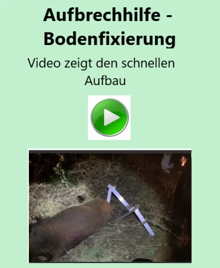 Bergen einer Sau mit Wildzange