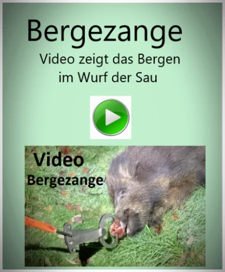 Video Bergezange Infobild