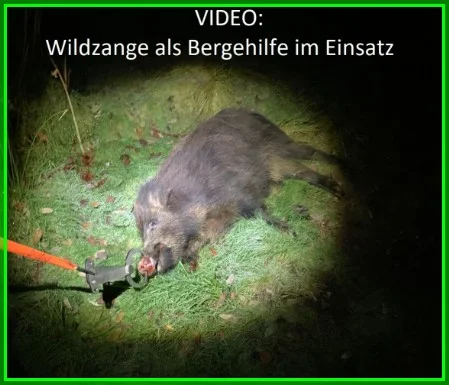 Videostart Bergen einer Sau mit Wildzange